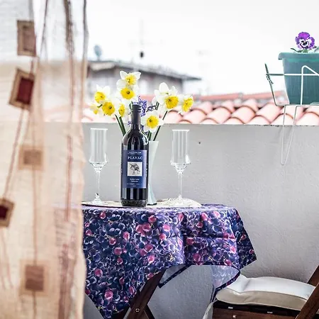 Apartment Calendula Rubic *